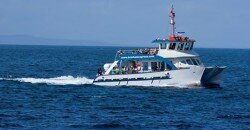 Brixham Express Ferry